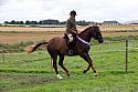Carnwath2025Ring1982