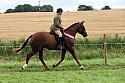 Carnwath2025Ring1987