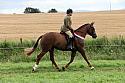 Carnwath2025Ring1988