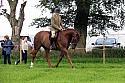 Carnwath2025Ring2005