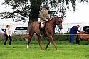 Carnwath2025Ring2006