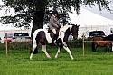 Carnwath2025Ring2011
