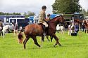 Carnwath2025Ring2025