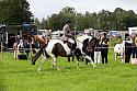 Carnwath2025Ring2031