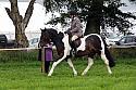 Carnwath2025Ring2070