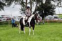 Carnwath2025Ring2078