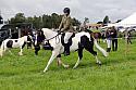Carnwath2025Ring2083