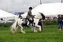 Carnwath2025Ring2089