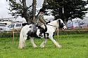 Carnwath2025Ring2090