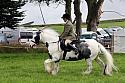 Carnwath2025Ring2093