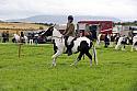 Carnwath2025Ring2165