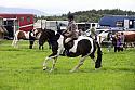 Carnwath2025Ring2167