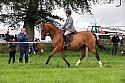 Carnwath2025Ring2173