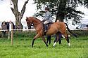 Carnwath2025Ring2174