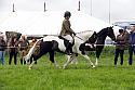 Carnwath2025Ring2176