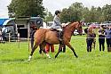 Carnwath2025Ring2187