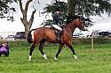 Carnwath2025Ring2195