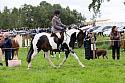 Carnwath2025Ring2224