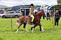 Carnwath2025Ring2278