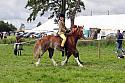 Carnwath2025Ring2279