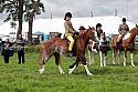 Carnwath2025Ring2280