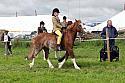 Carnwath2025Ring2281