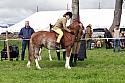 Carnwath2025Ring2282