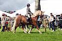 Carnwath2025Ring2318