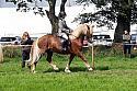 Carnwath2025Ring2321
