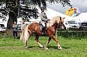 Carnwath2025Ring2323