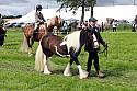 Carnwath2025Ring2329