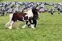 Carnwath2025Ring2349