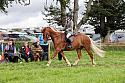 Carnwath2025Ring2360