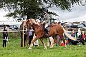 Carnwath2025Ring2362