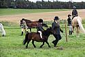 Carnwath2025Ring2410