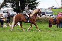 Carnwath2025Ring2479