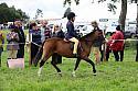 Carnwath2025Ring2495