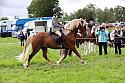 Carnwath2025Ring2496