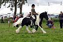 Carnwath2025Ring2501