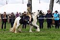 Carnwath2025Ring2505