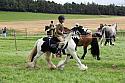 Carnwath2025Ring2511