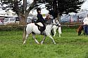Carnwath2025Ring2516