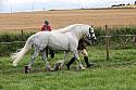 Carnwath2025Ring2519