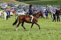 Carnwath2025Ring2527