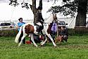Carnwath2025Ring2537