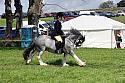 Carnwath2025Ring2548