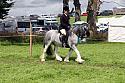 Carnwath2025Ring2556