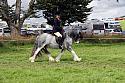 Carnwath2025Ring2562