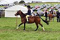 Carnwath2025Ring2573