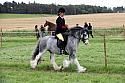 Carnwath2025Ring2600